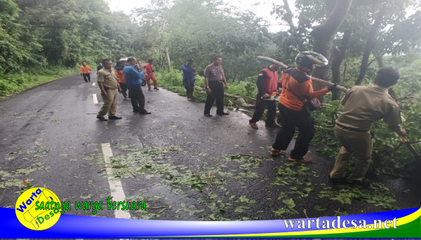 pohon tumbang