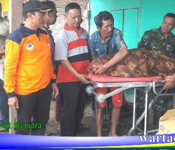 pencari kepiting