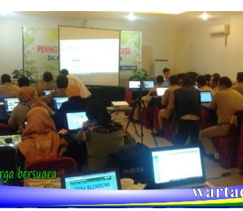 pelatihan web