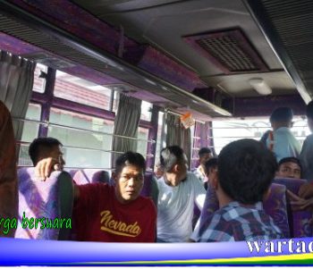 asimilasi
