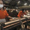 buruh kayu