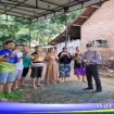kontes burung