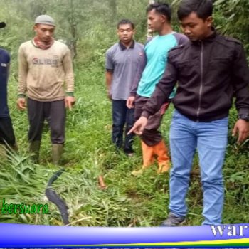 masuk jurang