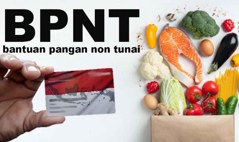 BNPT-1