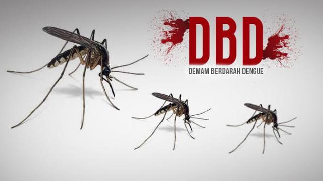 dbd