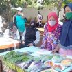 pasar mitra tani