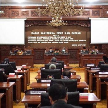 raperda batang