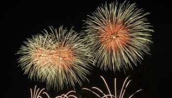 ilustrasi kembang api