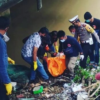 mayat