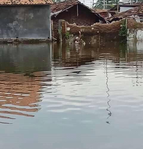 banjir