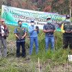 dispertan batang
