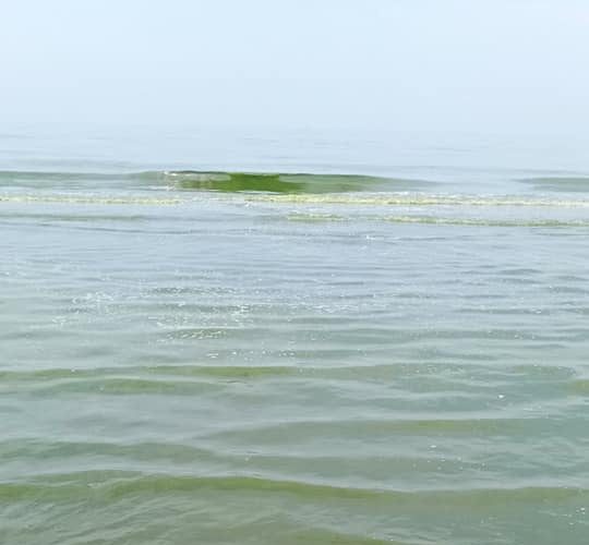 laut batang