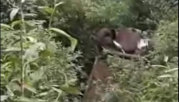 kecelakaan kembanglangit