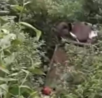 kecelakaan kembanglangit