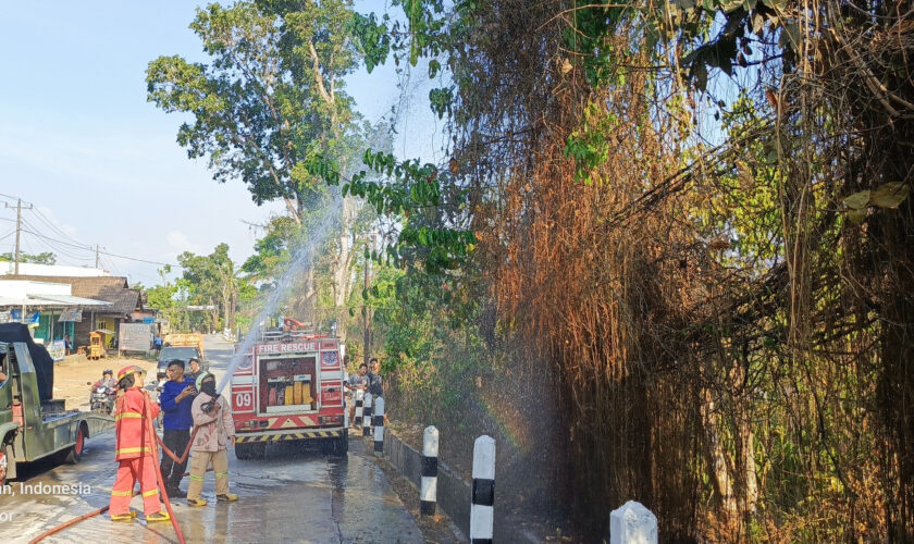 kebakaran
