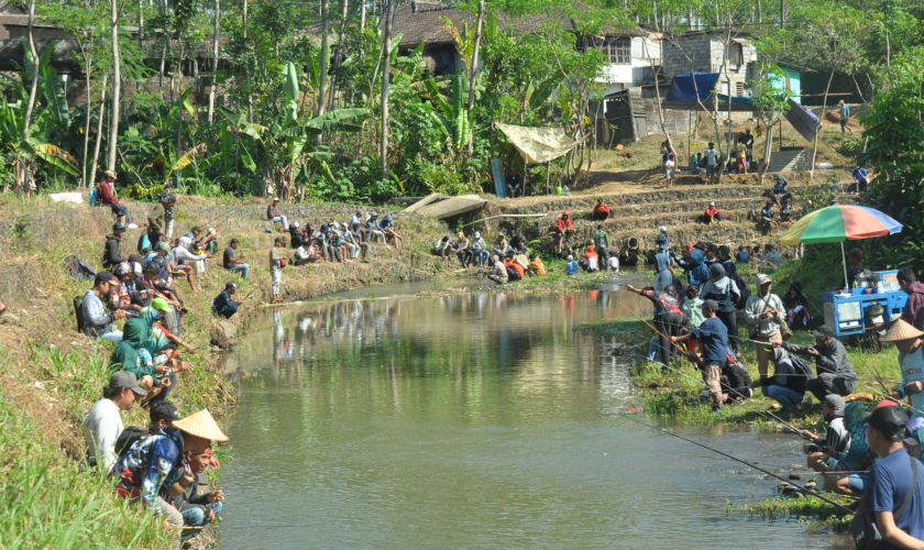 lomba mancing