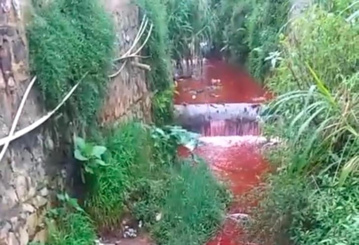 kali merah