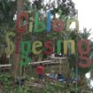 sigesing