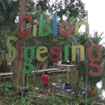 sigesing