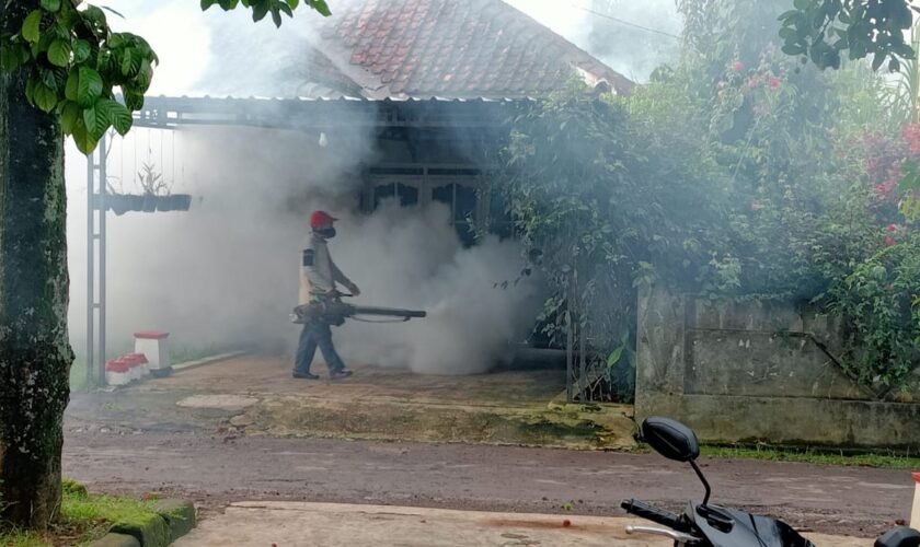fogging