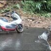 timbangsari