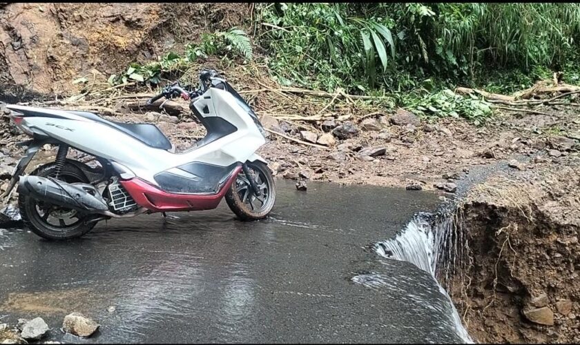 timbangsari