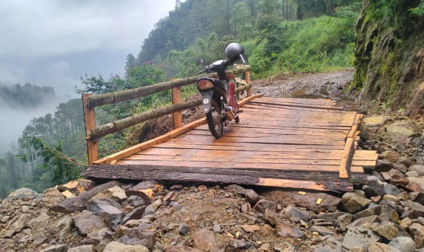 petung