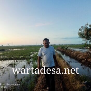 WhatsApp Image 2025-05-24 at 17.58.13