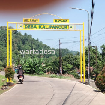 kalipancur1