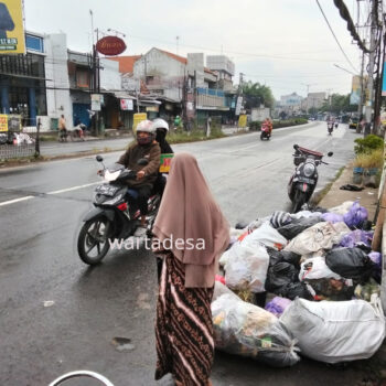 sampah