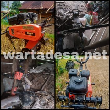 IMG-20250723-WA0042