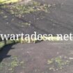 IMG-20250728-WA0020
