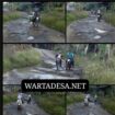 garung