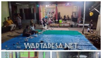 IMG-20250816-WA0046