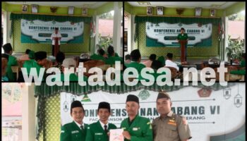 ansor