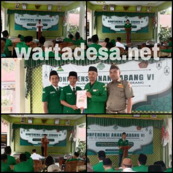 ansor