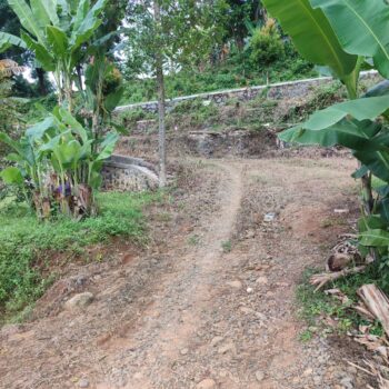 jalan usaha tani