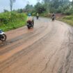 IMG-20251011-WA0014