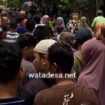 demo mbg