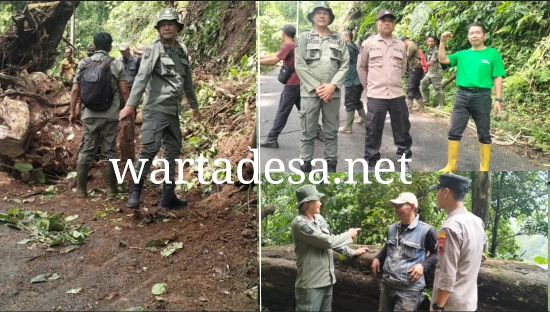 pohon tumbang