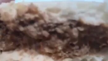 Screenshot_20251113_141551