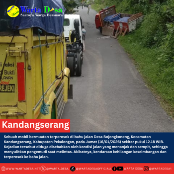 berita kandangserang