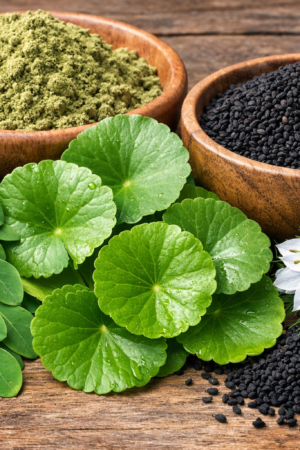 kelor pegagan jintan