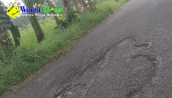 template berita foto warta desa