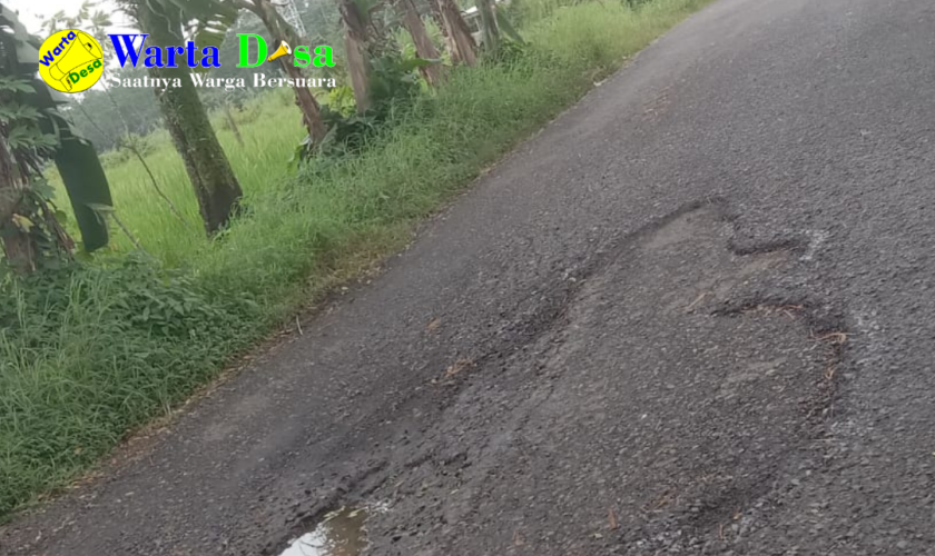 template berita foto warta desa