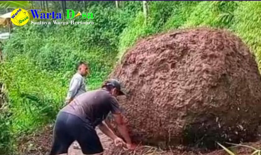 template berita foto warta desa