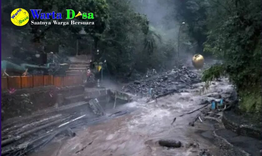 template berita foto warta desa(4)