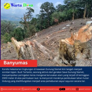 template berita foto warta desa(6)