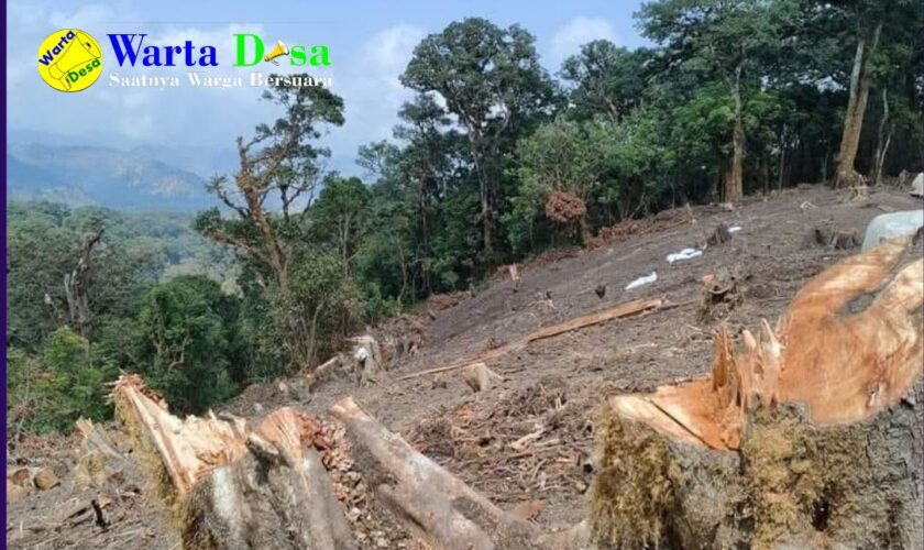 template berita foto warta desa(6)