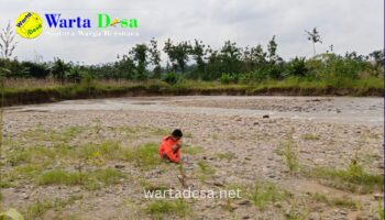 template berita foto warta desa